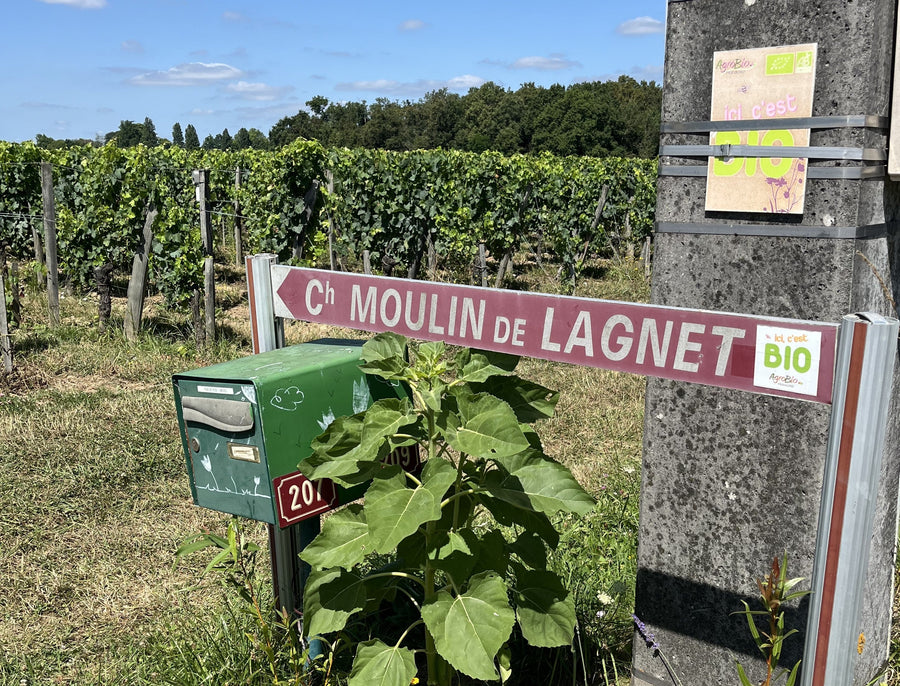 Weinreise durch Frankreich