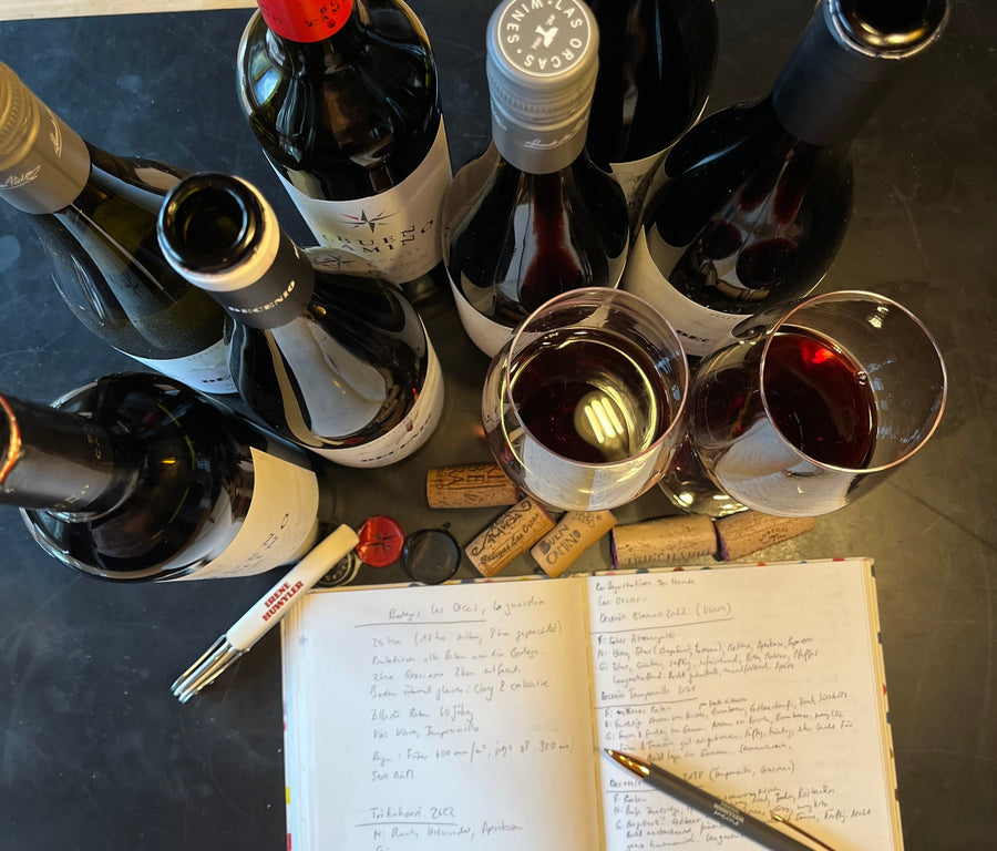 Basiskurs Degustation: Rotwein